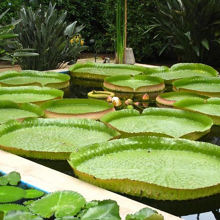 Casa Vacanze La Formica Verbania Bagian luar foto