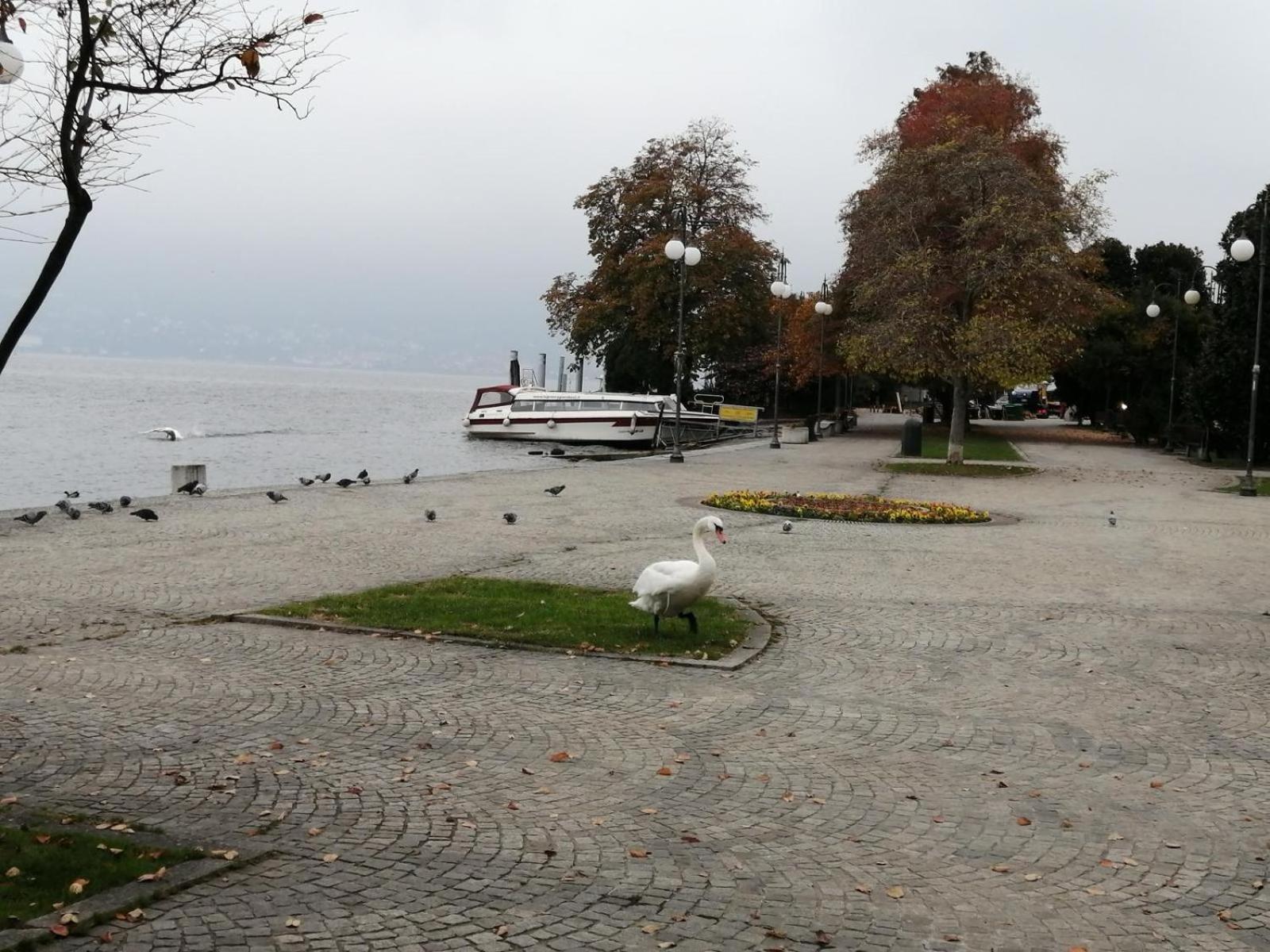 Casa Vacanze La Formica Verbania Bagian luar foto